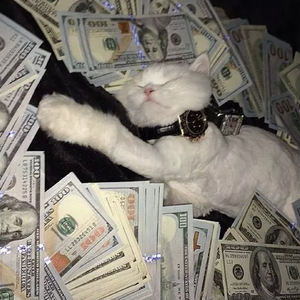 人妻无码不卡在线视频
