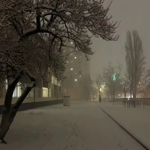 人妻无码不卡在线视频
