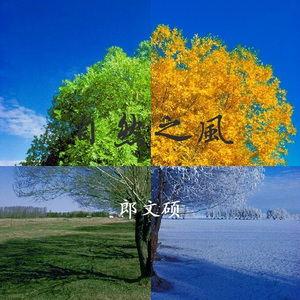 人妻无码不卡在线视频
